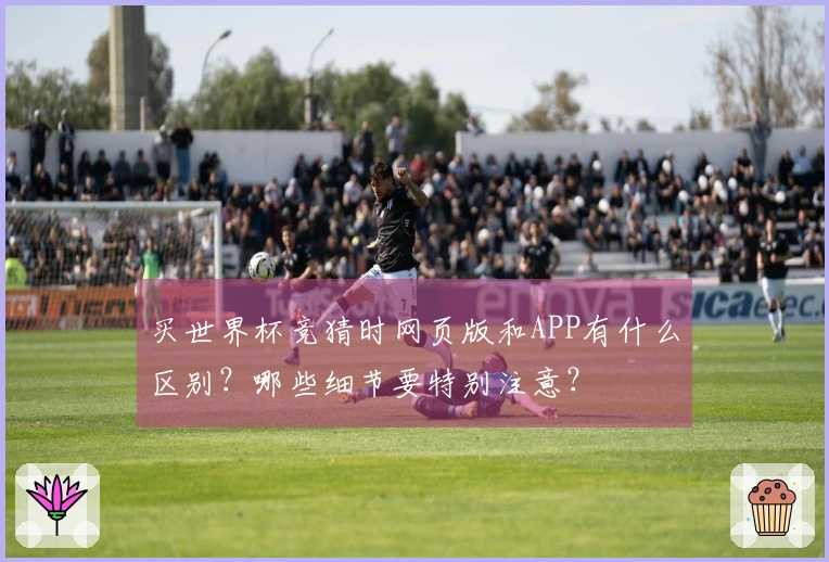 买世界杯竞猜时网页版和APP有什么区别？哪些细节要特别注意？