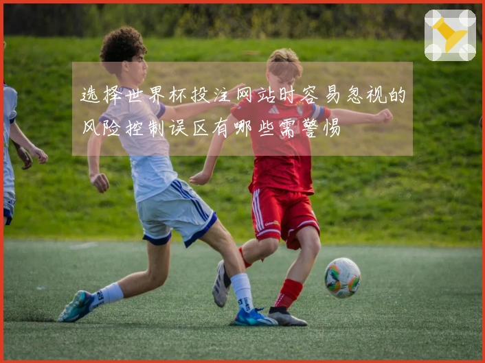 选择世界杯投注网站时容易忽视的风险控制误区有哪些需警惕