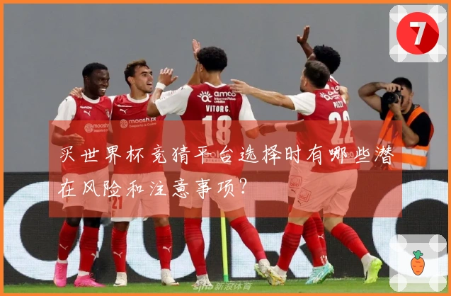 买世界杯竞猜平台选择时有哪些潜在风险和注意事项？