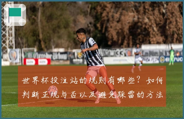 世界杯投注站的规则有哪些？如何判断正规与否以及避免踩雷的方法