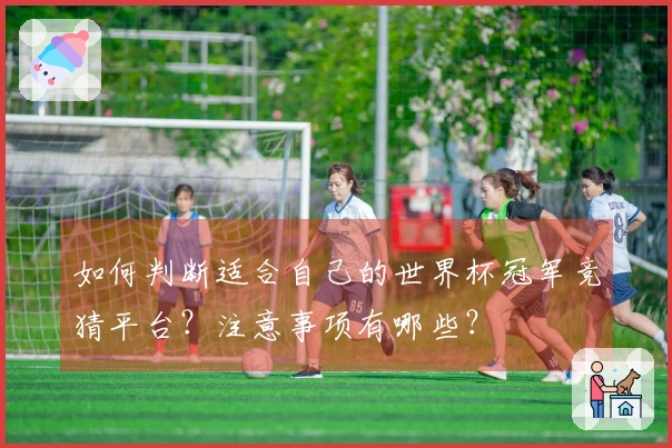 如何判断适合自己的世界杯冠军竞猜平台？注意事项有哪些？