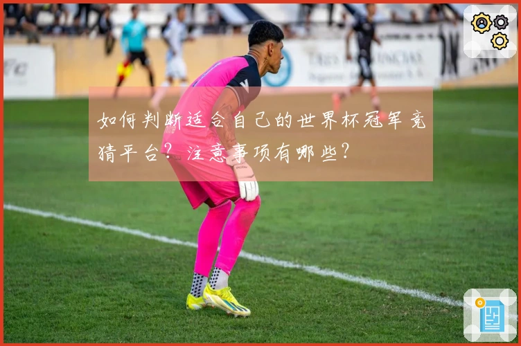 如何判断适合自己的世界杯冠军竞猜平台？注意事项有哪些？