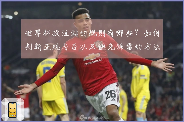 世界杯投注站的规则有哪些？如何判断正规与否以及避免踩雷的方法