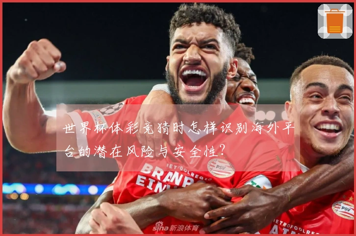 世界杯体彩竞猜时怎样识别海外平台的潜在风险与安全性？