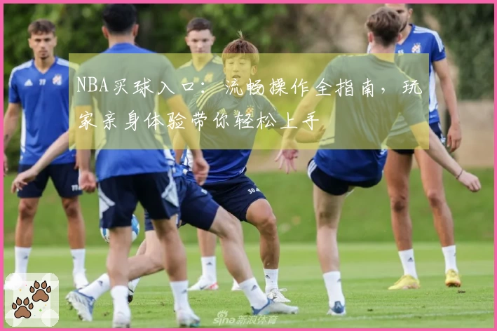 NBA买球入口：流畅操作全指南，玩家亲身体验带你轻松上手