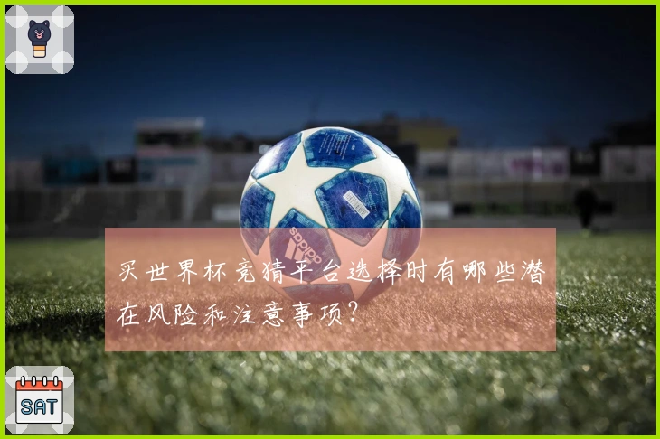 买世界杯竞猜平台选择时有哪些潜在风险和注意事项？