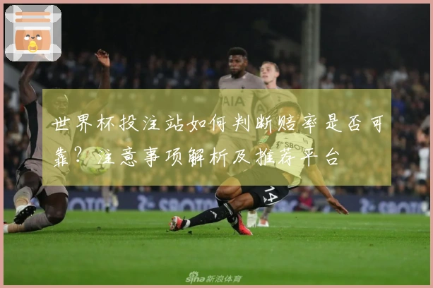 世界杯投注站如何判断赔率是否可靠？注意事项解析及推荐平台