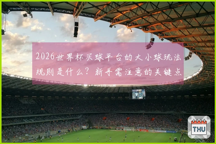 2026世界杯买球平台的大小球玩法规则是什么？新手需注意的关键点汇总