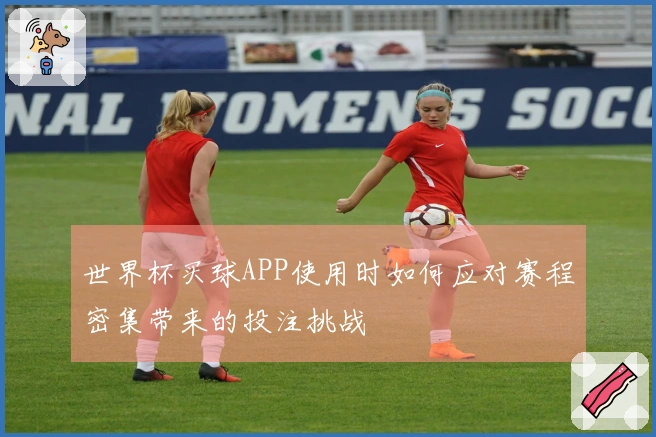 世界杯买球APP使用时如何应对赛程密集带来的投注挑战